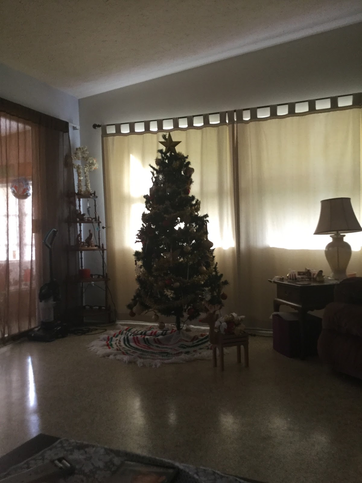 Living room at Magnolia Gardens